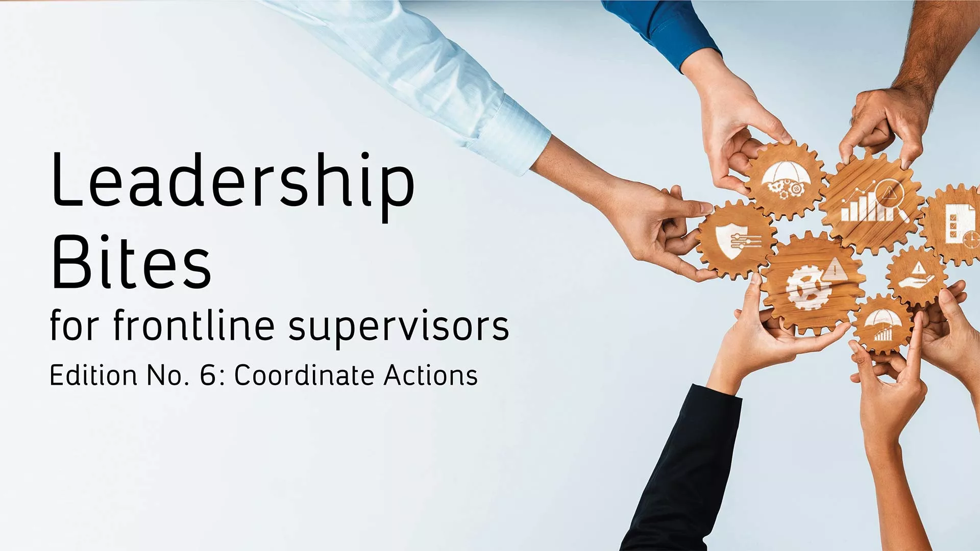 Leadership Bites Issue No. 6: Coordinate Actions