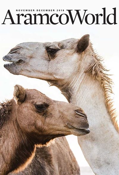 2018 November-December AramcoWorld