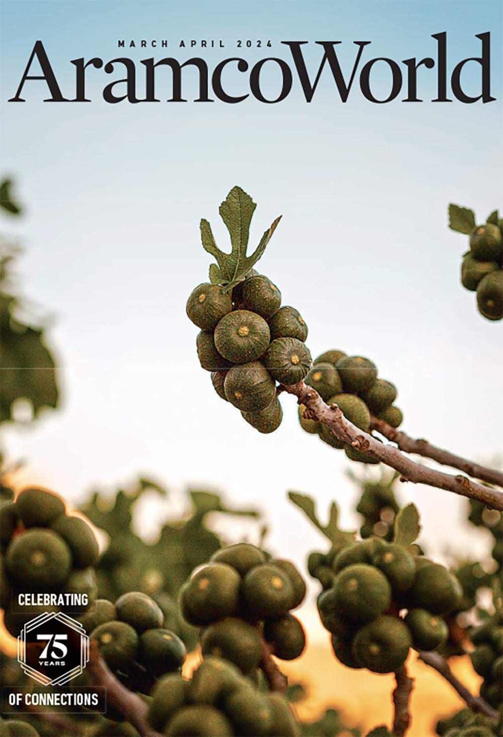 Aramco World