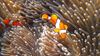 Marine studies to protect our seas