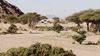 The benefits of protecting and enhancing biodiversity