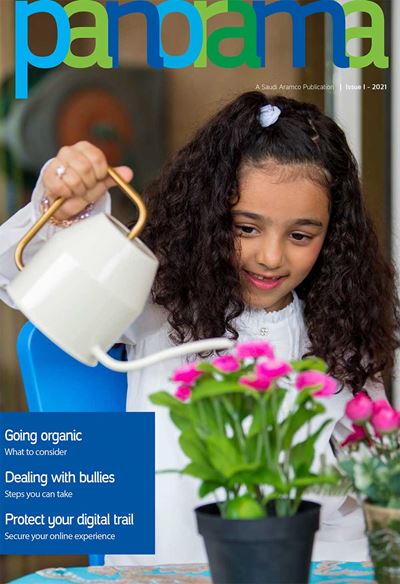 2021 Panaroma Edition 1