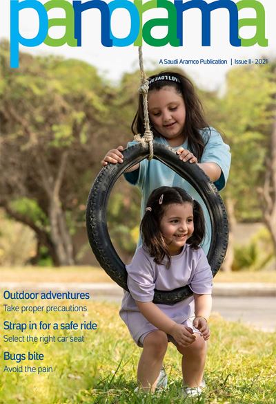 2021 Panorama Edition 2