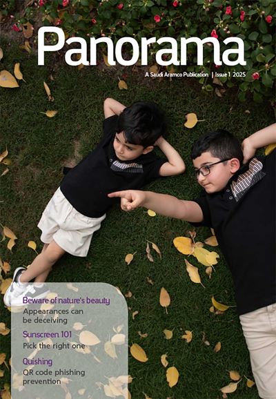 Panorama 2025 Edition 1