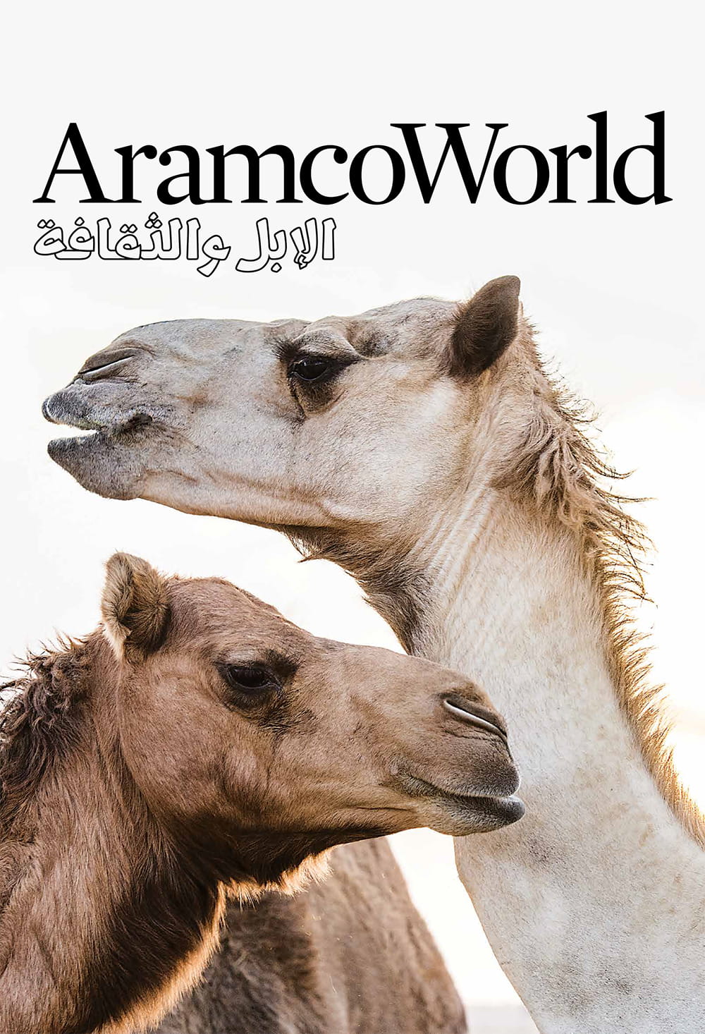 مجلة القافلة