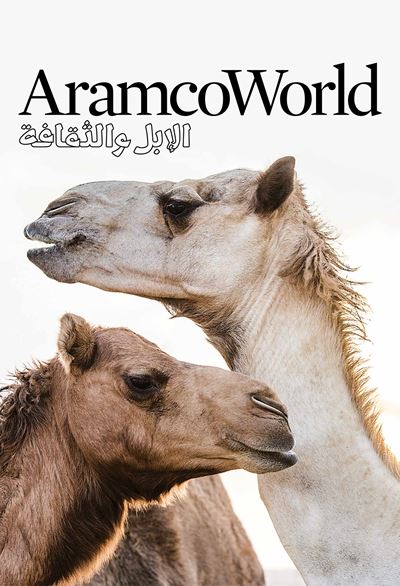  الإبل والثقافة - عدد خاص باللغة العربية من مجلة أرامكو وورلد