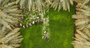 عين الكاميرا تُحلق في سماء الأحساء