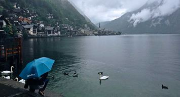 في انتظار اللقطة المثالية