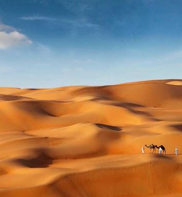 فوق رمال ليوا