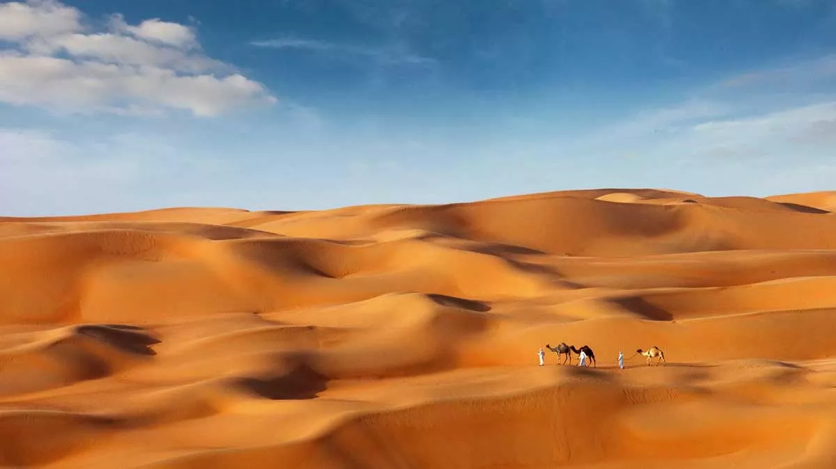 فوق رمال ليوا