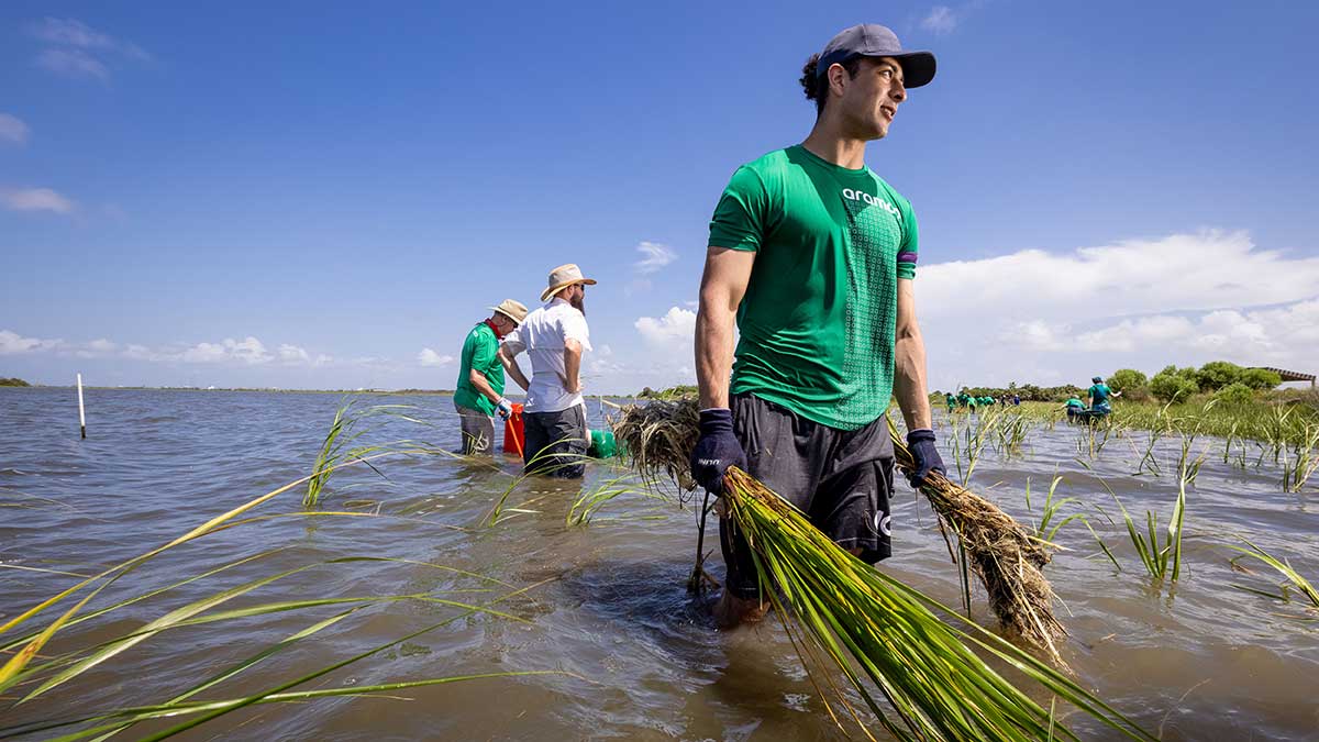 Volunteers wade