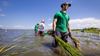 متطوعون يخوضون المياه ليعيدوا التنوع الحيوي إلى ساحل غالفستون