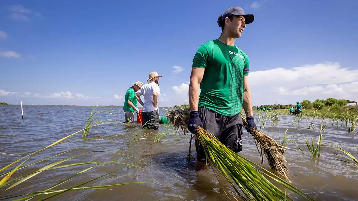 Volunteers wade