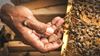 إطلاق مبادرة دعم صناعة العسل وتطوير منتجاته بالمدينة المنورة