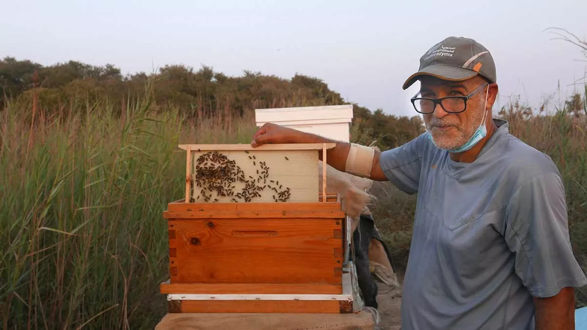 bee keeper