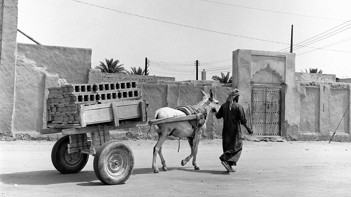 عربة تقليدية