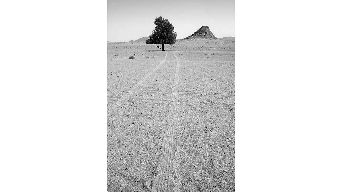 desert road