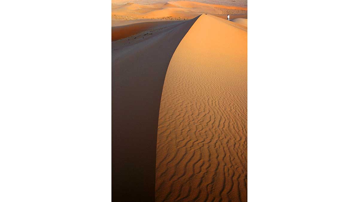 تقول لي الصحراء