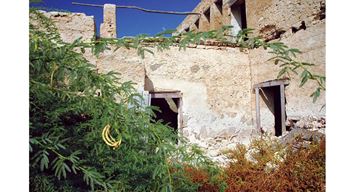 هل تموت البيوت؟