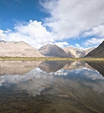 التقط صورة: انعكاس