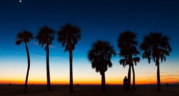 الليل والشاطئ