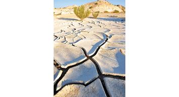 رغم هذا الظما