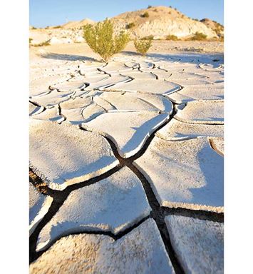 رغم هذا الظما