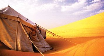 كما تشبّثَ منفيٌّ بأندلسِ