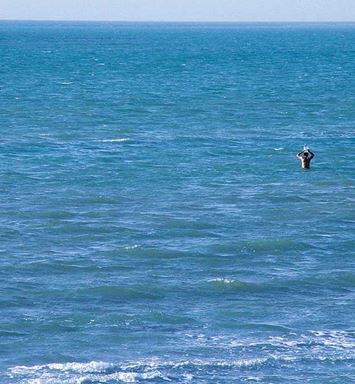 هل يظمأُ البحرُ؟