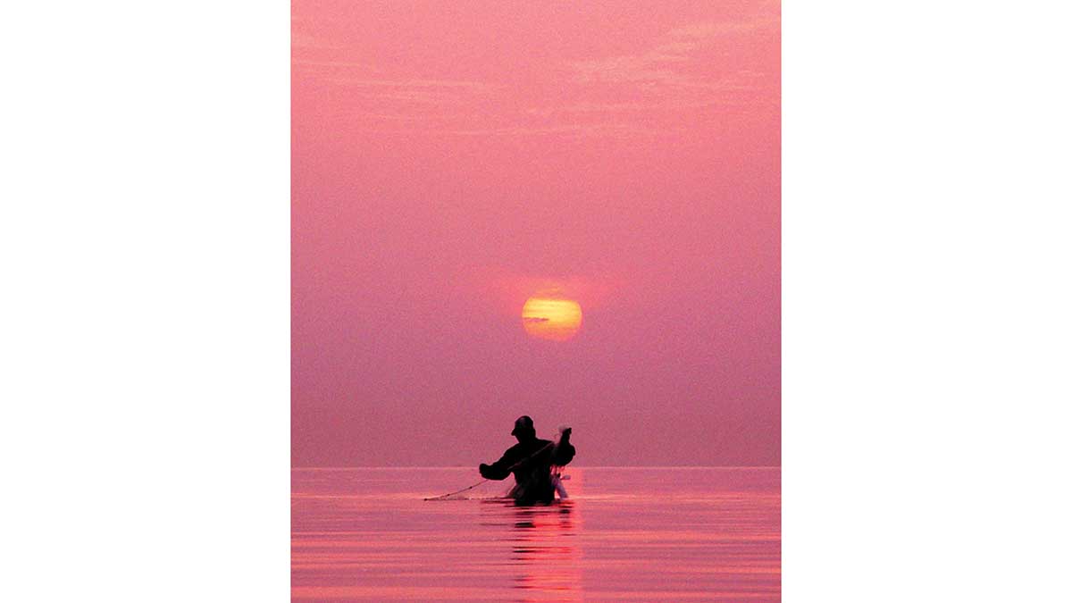Fisher