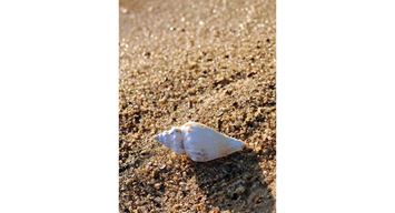 ضوء وحرف: إذا البحر ناداك