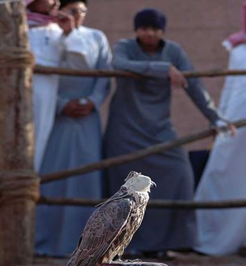 ضوء وحرف: مُكبَّلٌ دون قيد