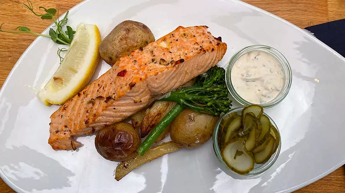 salmon