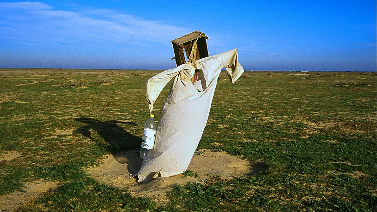 ضوء وحرف: الفزّاعة