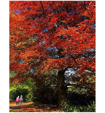 ضوء وحرف: نَهَرٌ من تراب