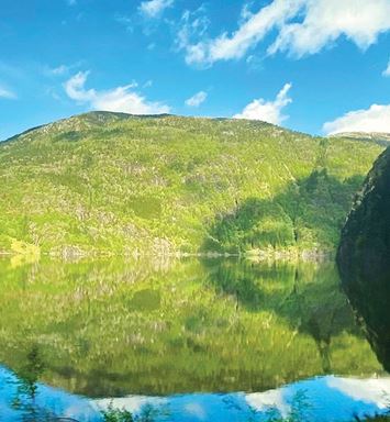 ضوء وحرف: مرآة الطبيعة