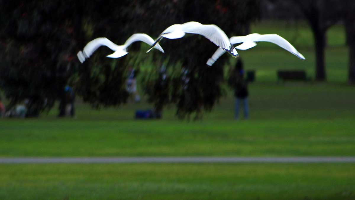 photo and poem week 42