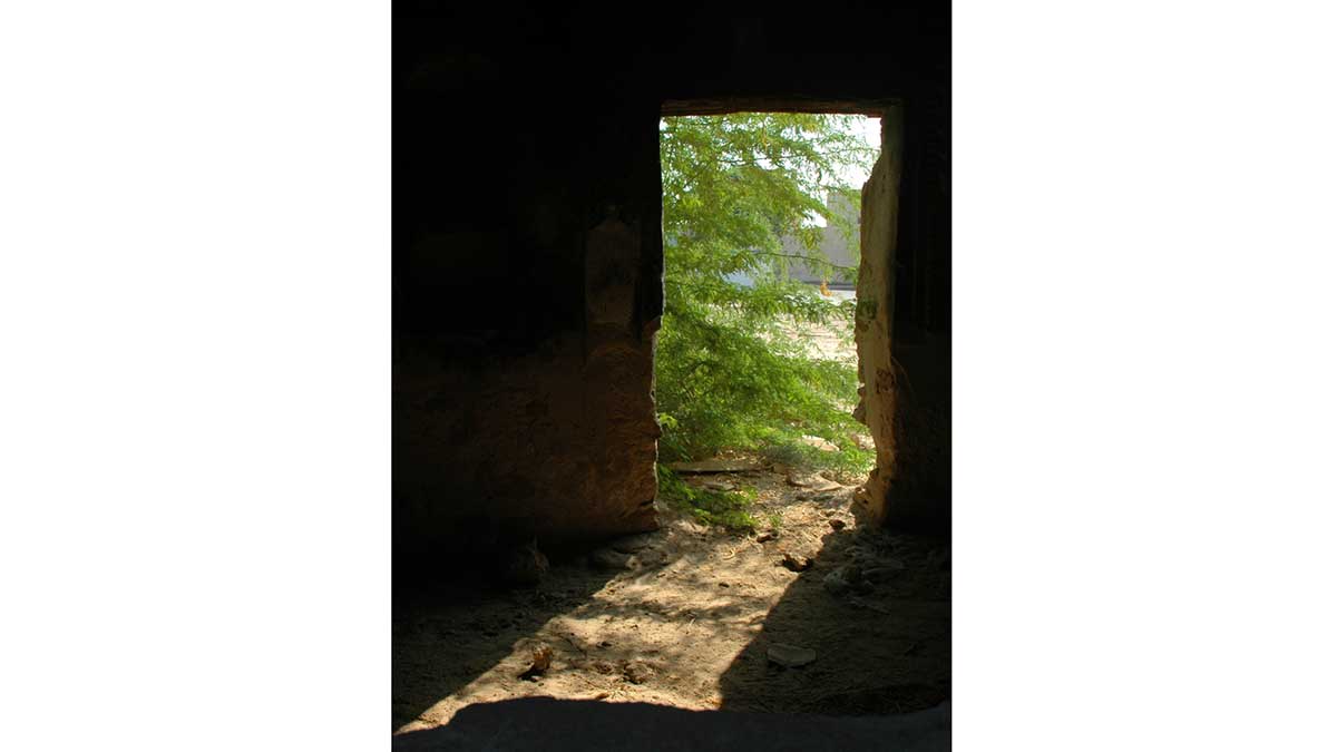 عيون السراب