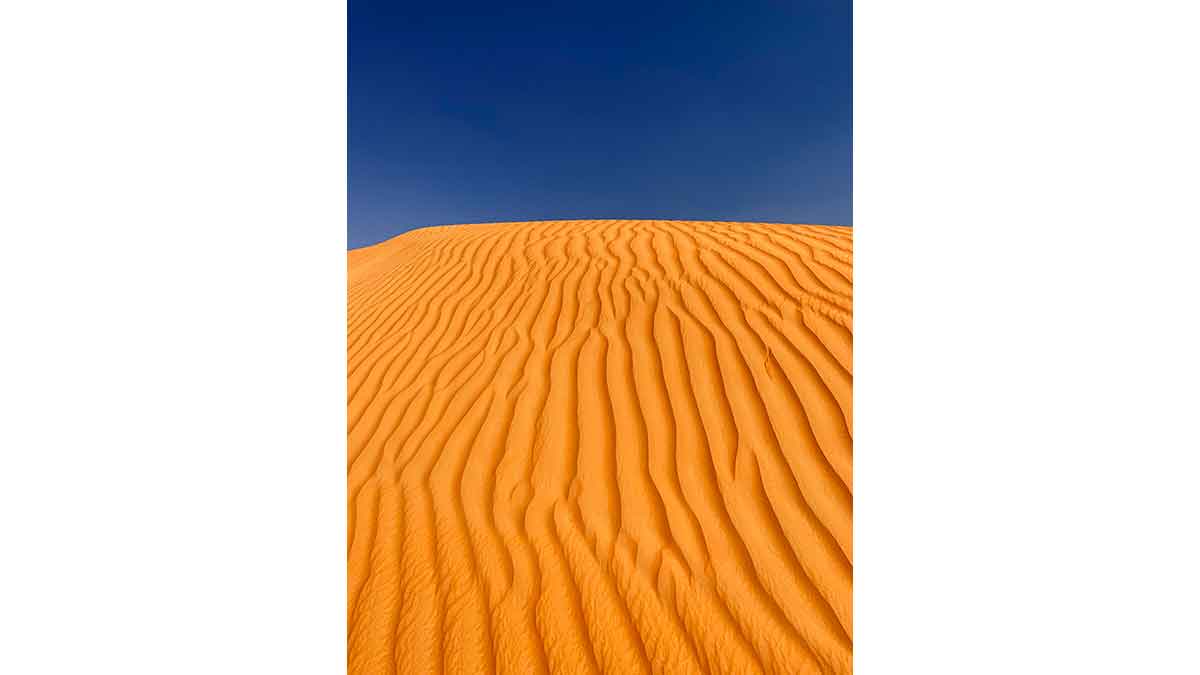 رغيف الرمال
