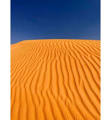 ضوء وحرف: رغيف الرمال