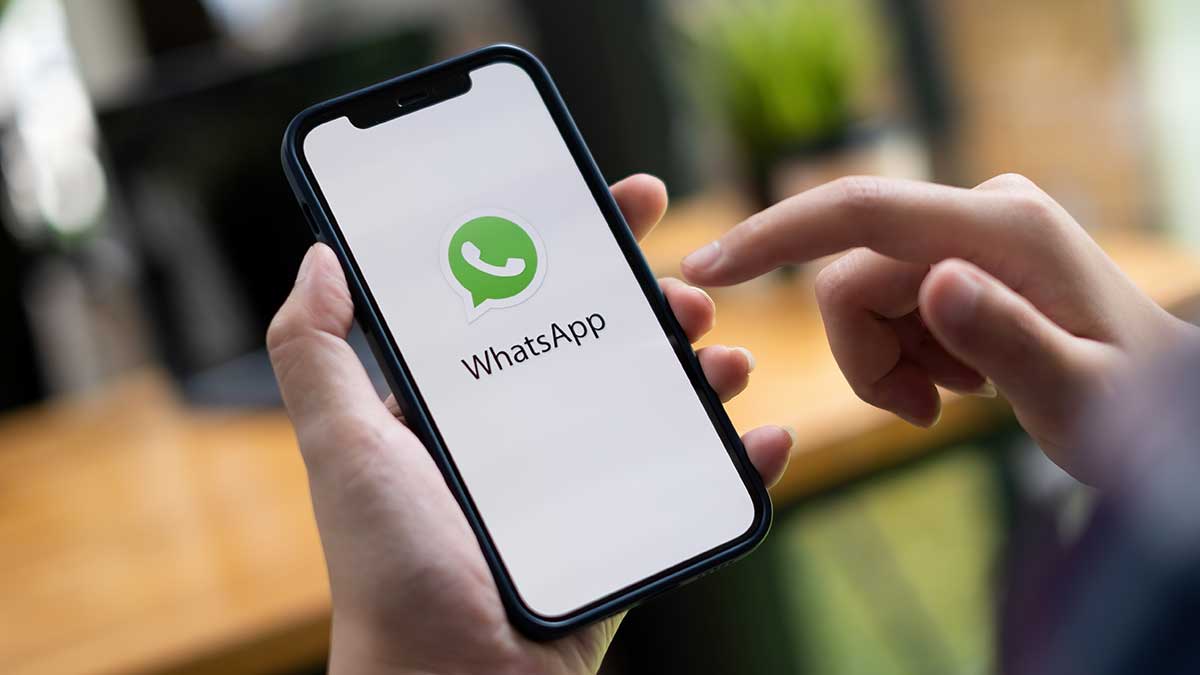 whatsaap 