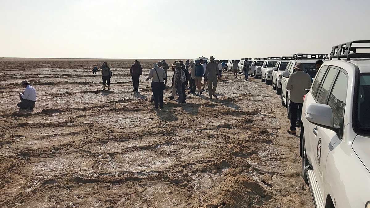 KFUPM Stanford geology field seminar