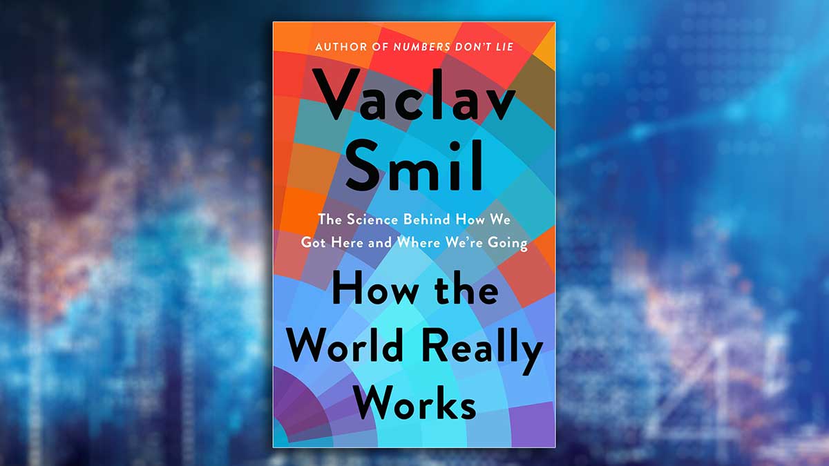 how the world really works cover