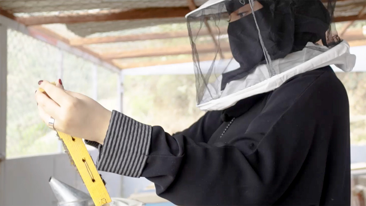 فيديو: برامجنا ومبادراتنا في مجال المواطنة