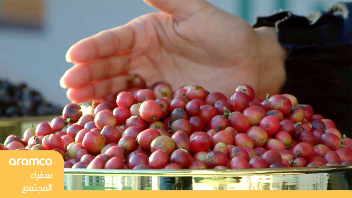 فيديو: مركز تطوير البُن السعودي 