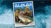 القافلة في عددها الجديد: من اقتصاد الانتباه إلى الخاتم.. رصدٌ لثقافة تتحوّل في عالم متغيّر