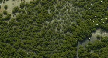 VIDEO: Environmental protection signing anniversary
