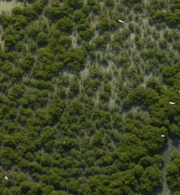 VIDEO: Environmental protection signing anniversary