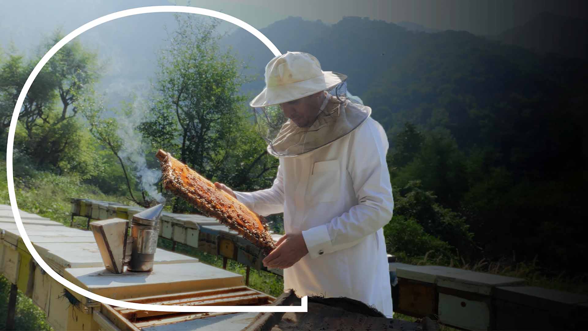 فيديو: العسل السعودي قصة نجاح تُروى