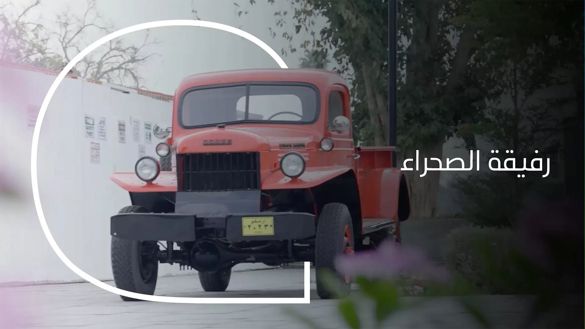 فيديو: رفيقة الصحراء